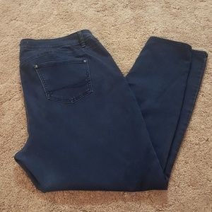 Cato Dark Wash Skinny Jeggings